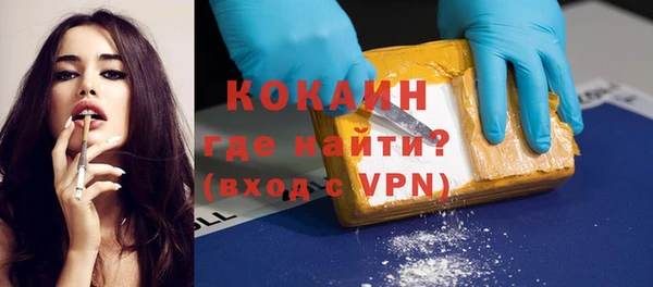 прущие грибы Тында