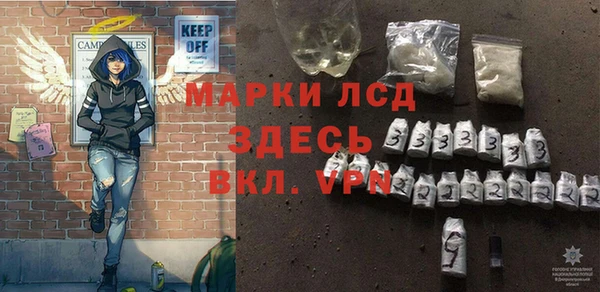 прущие грибы Тында