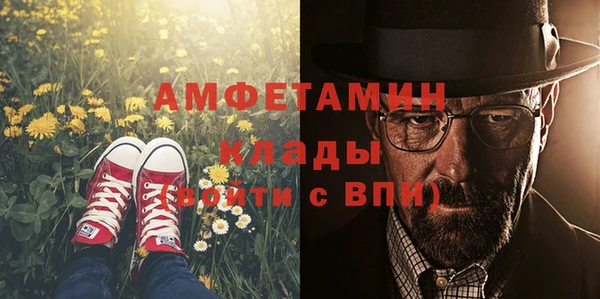 сатива Абаза